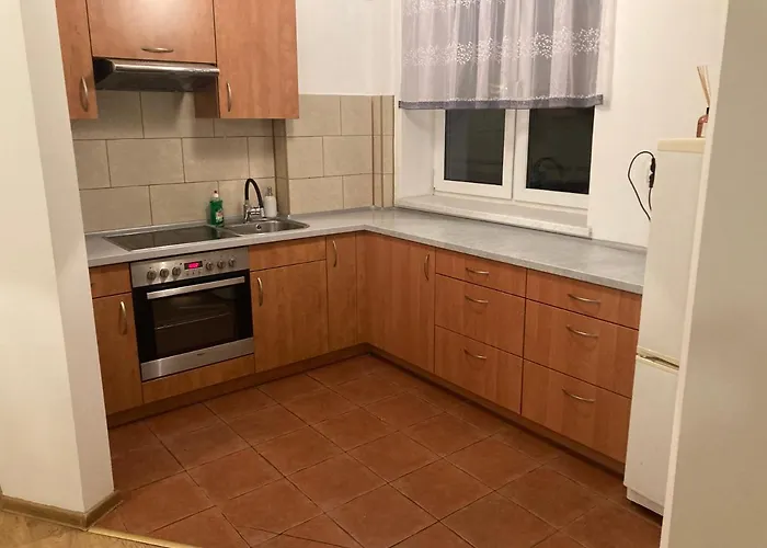 아파트 Mieszkanie W Centrum 비엘스코-비아와