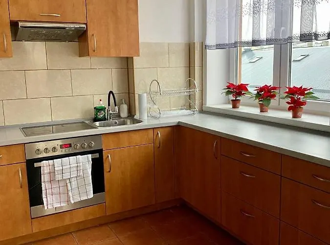 Mieszkanie W Centrum Appartamento